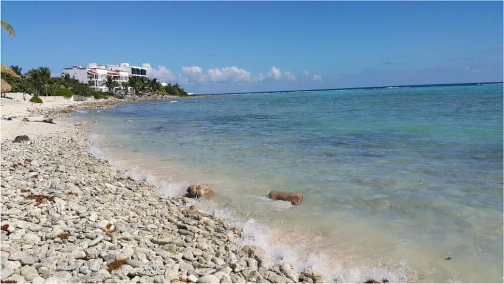 Playa Akumal - Bahía de la Media Luna