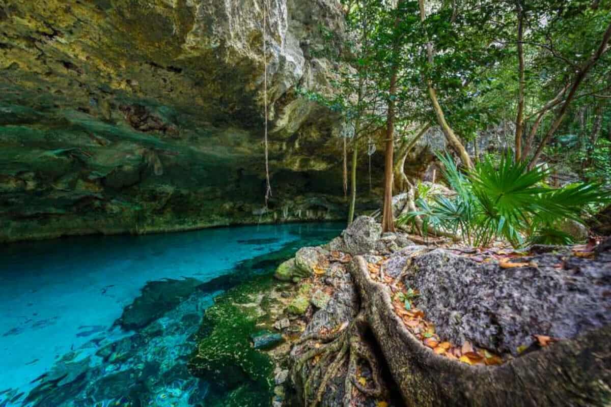Cenote Dos Ojos - Actividades de buceo en el Cenote Dos Ojos
