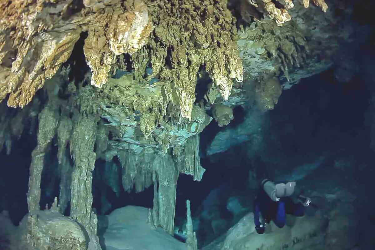 Cenote Dos Ojos - Qué saber sobre el Cenote Dos Ojos