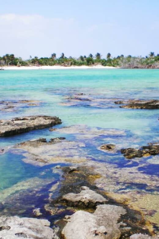Caleta Yalku
