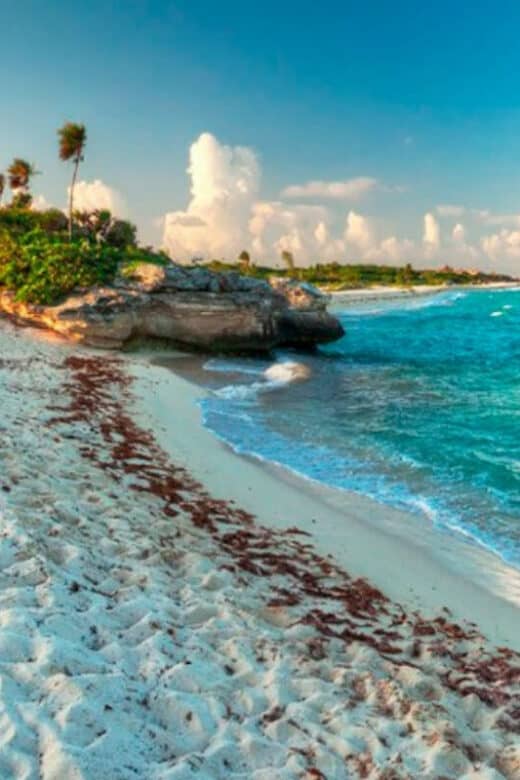 Qué hacer en Cozumel