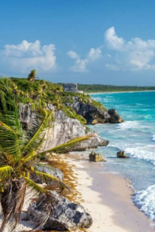 Ecosistemas de Quintana Roo