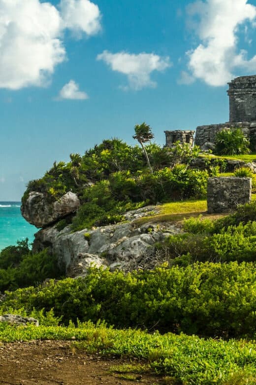 Flora y fauna de Quintana Roo